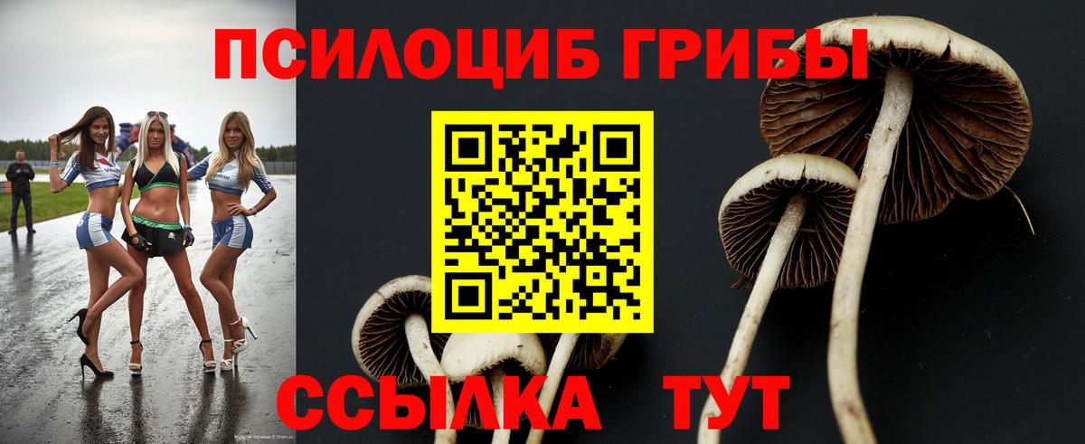 Галлюциногенные грибы GOLDEN TEACHER  купить закладку  Луховицы  Вход с VPN 